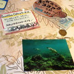 サンシャインカフェ - 