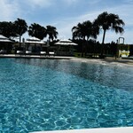 サルティーダ - 