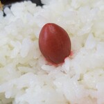 アドベンチャー - 
