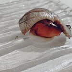 ウシマル - イワシ