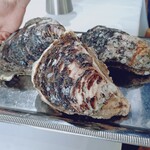 ウシマル - 岩牡蠣