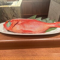 KOBAYASHI - 