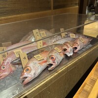 八吉 新橋店 - のど黒