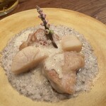 モンプチコションローズ - 