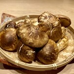 320702475 - ブータン産松茸