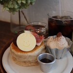 アンズトモモ - 