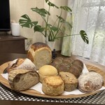 天然こうぼぱん とことこ - お決まりの、モンステラと一緒に、ハイポーズ(^^)v