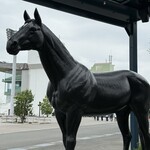 ダイアモンドターン - 