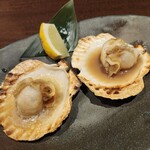 佐渡島へ渡れ - 