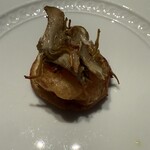 フォリオリーナ・デッラ・ポルタ・フォルトゥーナ - 