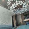 FARO - 
