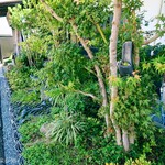 ヨコクラうどん - 