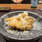 イル アオヤマ - 