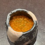 イル アオヤマ - 