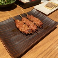 鳥ばか一代 - 