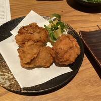 鳥ばか一代 - 