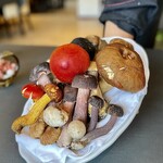 プレゼンテ スギ - ヤマドリタケなど、シェフが採取した色とりどりのキノコたち♡