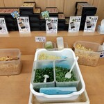 釜あげうどん 岡じま 高松店 - トッピングコーナーは充実　ネギ・生姜・天かす