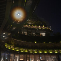 ジョーズ シャンハイ ニューヨーク 銀座店 - 