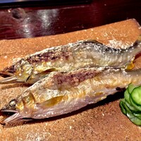たでの葉 - 贅沢な食べ比べ。手前が熊本川辺川、奥が岐阜高原川の天然鮎。