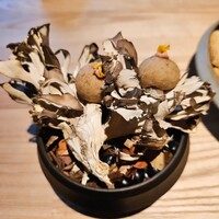 レスピラシオン - 