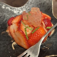 オッジ ダルマット 西麻布店 - 