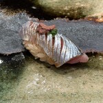 江戸町 すぎもと - 