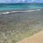 YOMITAN LAZOR CLUB - 