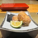 Teruzushi 2ndedition - 