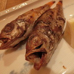 季節料理 なみき - 2014' 10/30 長崎　のどぐろ丸干し２尾８００円