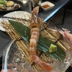 牡蠣&海老バル EAST BLUE - 