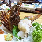 ひで丸 - 伊勢海老祭り期間だけに、生簀には伊勢海老が。活け造りは一人前でこのサイズ。この後、1頭で味噌汁が２膳いただけます。