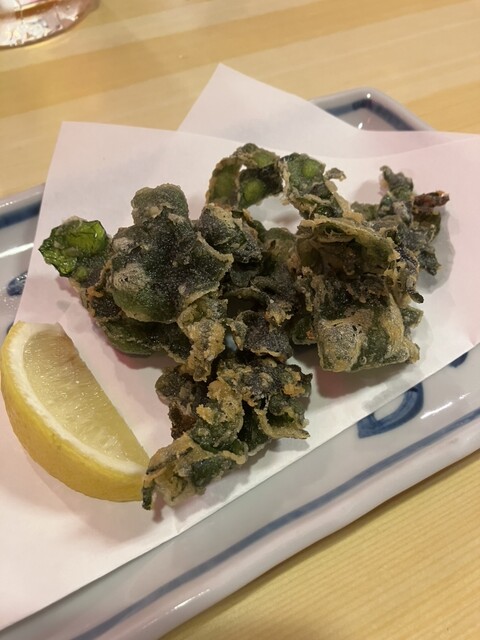 Sakagura Sakura Chouchin photo 2