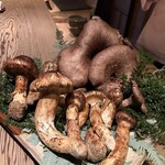 銀座ふじやま - 