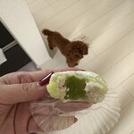 シャトレーゼ - 