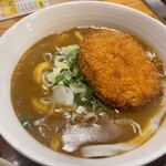 武州うどんあかねandみどりダイニング - 