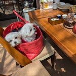 kutsukake stay Nakakaruizawa