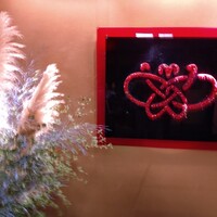 花蝶 銀座本店 - 