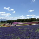 フロックスホール - 