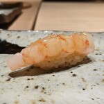 鮨 在 - ボタン海老 醤油