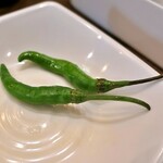 ハリオン - 青唐辛子