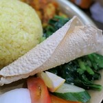 ハリオン - パパド