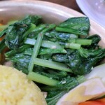 ハリオン - サーグ