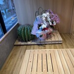 みかん - 胡蝶蘭とサボテン