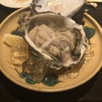 酒と料理 かぶ菜 - 