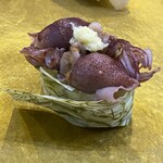 北陸鮨 きときと - ほたるいか