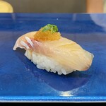 北陸鮨 きときと - ホウボウ