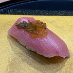 北陸鮨 きときと - 天然本マグロの中トロ