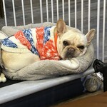 ヒルサイドイン センタークラブ - 