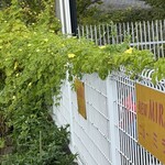 インデアンレストラン  ニューミラ - 